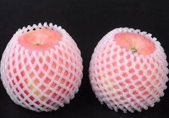 Jangan Langsung Dibuang, Inilah Manfaat Tak Terduga Dari Jaring Buah yang Tak Disangka-sangka