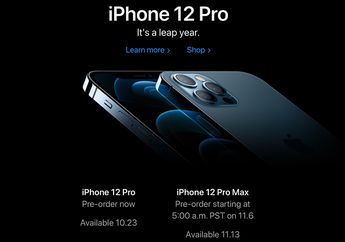 Apple Online Store Buka Pre-Order iPhone 12, 12 Pro dan iPad Air 4
