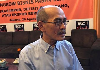 'Hantu Baru' Bakal Lahir Setelah Omnibus Law Disahkan, Faisal Basri: Lembaga Ini Biayai Proyek-proyek yang Pemerintah Suka dan Tidak Bisa Dipailitkan