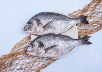 Ternyata Hilangkan Bau Amis Ikan Pakai Jeruk Nipis Salah Besar! Rempah Satu Ini Justru Lebih Berguna