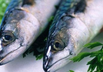 Ikan Busuk Jangan Dibuang! Ternyata Punya Manfaat Luar Biasa Yang Tak Disangka-Sangka, Ampuh Banget