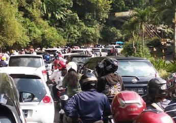 Liburan ke Puncak Pakai Mobil Pribadi, Pemkab Bogor Syaratkan Rapid Test