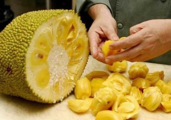 Cuma 5 Menit! Koki Rumah Makan Padang Ini Bongkar Cara Menghilangkan Getah Nangka, Engga Pakai Ribet!