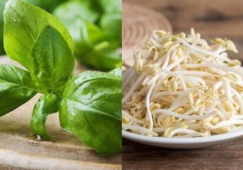 BERITA POPULER: Kunyah Daun Kemangi Bisa Cegah Penyakit Mematikan ini Sampai Manfaat Makan Taoge Setiap Hari
