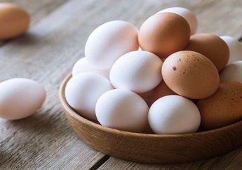 Kabar Baik! Ahli Ungkap Keunggulan Telur Negeri dibanding Telur Kampung, Enggak Nyangka Banget