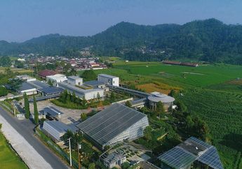 Rumah Atsiri Kenalkan Wisata Edukasi Tanaman Aromatik Lewat Facebook