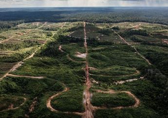 Cuitan Viral Menteri Lingkungan Hidup Sampai Disorot Media Asing, Indonesia Disebut Mengkritik Ikrar Deforestasi COP26 'Tidak Adil' Beberapa Hari Setelah Menyepakatinya