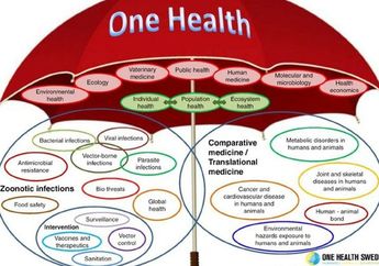Lawan Pandemi Baru, Konsep One Health Harus Diutamakan, Seperti Apa?