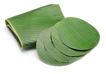 Jangan Disepelekan! Ternyata Minum Air Rebusan Daun Pisang Bisa Dijadikan Obat Alami Untuk Kesehatan