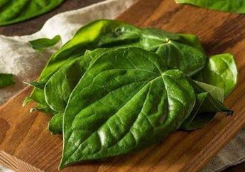 Begini Cara Khusus Untuk Membuat Daun Sirih Ampuh Meredakan Diare
