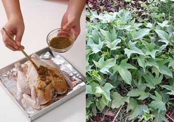 BERITA POPULER : Tips Panggang Ayam agar Cokelat Mengkilap Sampai Manfaat Makan Daun Ubi Jalar Rebus