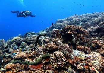 Memahami Wisata Minat Khusus yang Menyasar Pejalan-pejalan Berkualitas