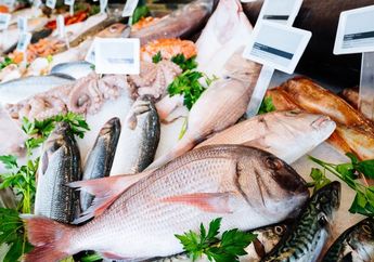 Tips Menyimpan Ikan Laut dan Seafood Mentah agar Tahan Sampai 3 Bulan, Tetap Segar Seperti Baru Ditangkap