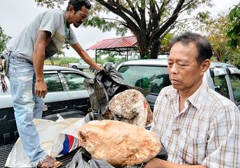 Tak Sengaja Temukan Kotoran Termahal di Dunia, Nelayan Ini Kaget Kotoran Itu Langsung Ditawar Pengusaha Rp44 Miliar, Tetapi Malah Tak Langsung Dilepaskan Gara-Gara Hal Ini