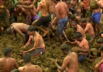 Curi Kotoran Sapi Senilai Rp 310 Ribu, Gerombolan Pencuri Ini Diburu Polisi Mati-matian, Alasannya Bikin Melongo