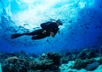 Memahami Wisata Minat Khusus yang Menyasar Pejalan-pejalan Berkualitas