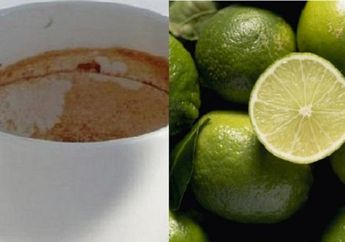 Warkop Ini Bongkar Cara Membersihkan Noda Kerak Kopi pada Gelas, Cuma Modal Air dan Bahan Dapur Ini!