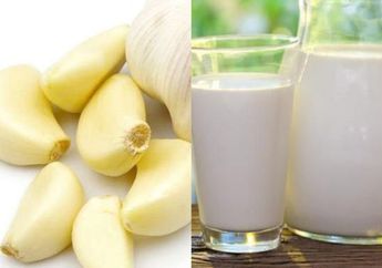 Jangan Lagi Disepelekan! Coba Minum Campuran Susu dan Bawang Putih Setelah Makan dan Lihat Sendiri Hasilnya, Dijamin Bikin Melongo