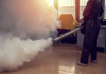 Engga Perlu Lagi Semprot-semprot Bahan Kimia, Cukup Gunakan 7 Bahan Dapur ini Dijamin Kecoa dan Temannya Pasti Kabur