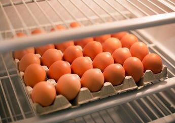 Mulai Sekarang Jangan Lagi Simpan Telur Dalam Kulkas, Efeknya Tidak Main-Main Untuk Tubuh