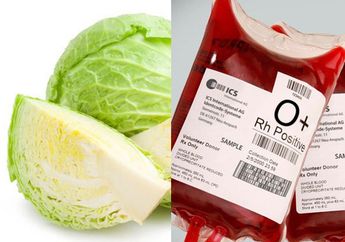 Catat! Pemilik Golongan Darah O Disarankan Tidak Makan Kol atau Kubis, Efek Sampingnya Bisa Jadi Penyakit Berbahaya Ini
