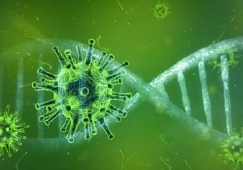Disebut Lebih Menular Namun Mudah Dimatikan, Ini Varian Baru Virus Corona D614G, Sudah Masuk Indonesia?