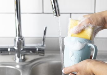Sering Salah Kaprah, Sabun Cuci Piring Ternyata Tidak Boleh Dipakai untuk Membersihkan 4 Hal Ini, Ganti Sekarang dengan Baking Soda!