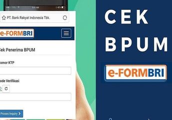 UMKM Tahap 3 Kapan Dimulai? Masih Ada Kesempatan Sampai 28 Juni 2021, Simak Info BLT BPUM 2021