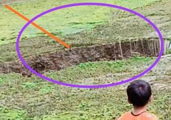 Lubang Misterius Tiba-tiba Muncul Kuras Air dan Ratusan Kilo Ikan, Warga Sukabumi Heboh Hingga Ungkit Ramalan Nenek Moyang!