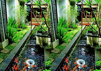Jenis Tanaman Air Paling Banyak Dipilih untuk Penghias Kolam Ikan