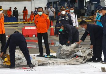 Lokasi Kotak Hitam Sriwijaya Air SJ 182 Diketahui, Ternyata Luhut Binsar Beri Hadiah Ini Buat Penemu Black Box JT 610 yang Jatuh di Oktober 2018