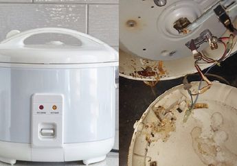 Viral Kisah Ibu Iseng Bongkar Mesin Bagian dalam Rice Cooker, Langsung Menjerit Temukan Ini Di Dalamnya 'Langsung Mual Saya'