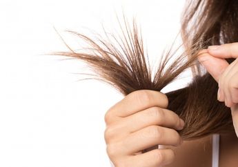 PPKM Bikin Susah ke Salon, Mending Coba Makanan untuk Obat Rambut Bercabang ini, Dijamin Atasi Masalahnya Dalam Waktu Singkat!