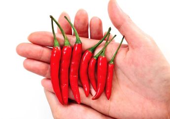Langsung Hilang Sekali Bilas, Begini Tips Mengatasi Tangan Terasa Panas Akibat Cabai, Gunakan 3 Bahan Dapur Ini