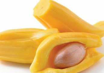 Jangan Sampai Dibuang, ini Manfaat Luar Biasa Makan Biji Nangka Rebus, Jadi Obat Alami untuk Berbagai Penyakit