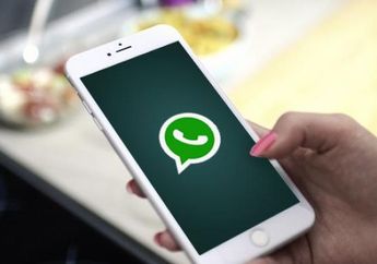WhatsApp Akan Rilis Fitur Baru yang Diklaim Penting, Apa Itu?