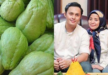 BERITA TERPOPULER : Dari Manfaat Kunyah Labu Siam Rebus Sampai Gaya Hidup Muzdalifah Sekarang Dibongkar Tetangga