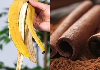 Jangan Dibuang! Coba Rebus Kulit Pisang dan Minum Airnya Secara Rutin Sebelum Tidur, Efeknya Lebih Ampuh dari Obat