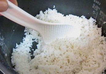 AWAS! Nasi Di Rice Cooker Bisa Cepat Basi dan Kering karena Hal Sepele ini, No. 3 Sering Dianggap Biasa Sama Ibu-ibu