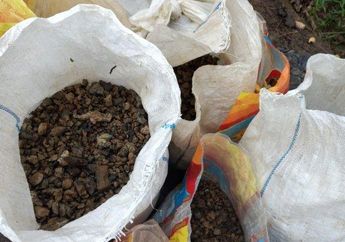 Diburu Bak Harta Karun, Ratusan Warga Berebut Mencari Batu Ini di Lahan Makam, Bisa Dijual Rp 20 Ribu Per Kilo