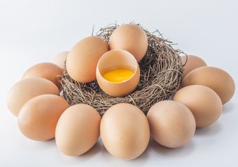 Emak-Emak Nyesel Kalau Baru Tahu, Cangkang Telur Jangan Dibuang Mending Gantung Dekat Jendela, Dijamin Bikin Hewan Menjijikan Ini Ogah Masuk Ke Rumah