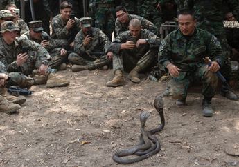 Latihan Militer 'Cobra Gold:' Saat Pasukan Indonesia dan 6 Negara Lain Minum Darah Kobra, Menggigit Tokek Mentah, hingga Hilangkan Racun Kalajengking
