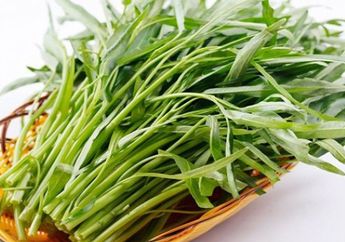 Semua Orang Salah! Lebih Baik Gak Makan Kangkung Kalau Dicucinya Masih Pakai Cara Ini, yang Ada Malah Pelan-pelan Membunuh Seisi Rumah