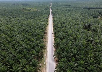 Eksploitasi Air Tanah dan Perubahan Iklim Mengancam Wilayah Pesisir