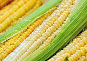 Sering Dibuang Begitu Saja, Siapa Sangka Air Rebusan Rambut Jagung Bisa Berikan Tiga Manfaat Ini untuk Tubuh