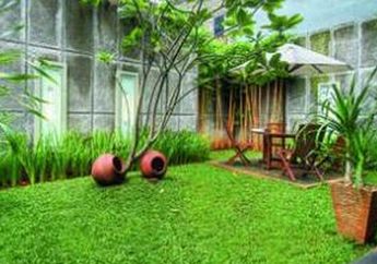 Agar Rumput Selalu Hijau dan Lebat, Jangan Abaikan 5 Hal Penting Ini