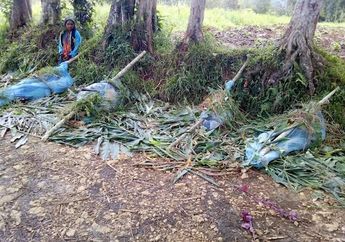 Perang Antar Suku Masih Jadi Cara Pemecahan Masalah di Kehidupan Modern Negara Tetangga Ini, Mayat-mayat Bergelimpangan di Jalanan Sudah Jadi Pertunjukan Biasa