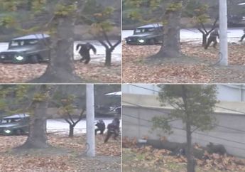 Hi... Kebanyakan Tubuh Orang Korea Utara Mungkin Digerogoti Cacing Parasit, Kok Bisa?
