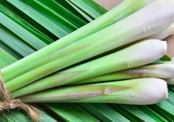 Nyesel Kalau Enggak Tahu! Ini 5 Khasiat Daun Serai Buat Kecantikan