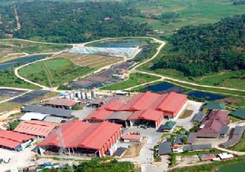 Sebarkan Bau Bangkai Hingga Bikin Resah Warga Bogor, Pabrik Limbah PT PPLI Diprotes Anggota DPR, Sahamnya Dikuasai Investor Negara Ini